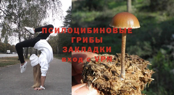 крисы Алексин
