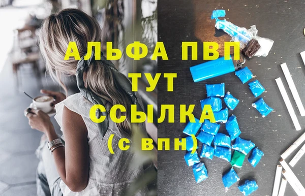 крисы Алексин