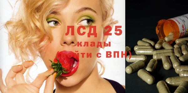 крисы Алексин
