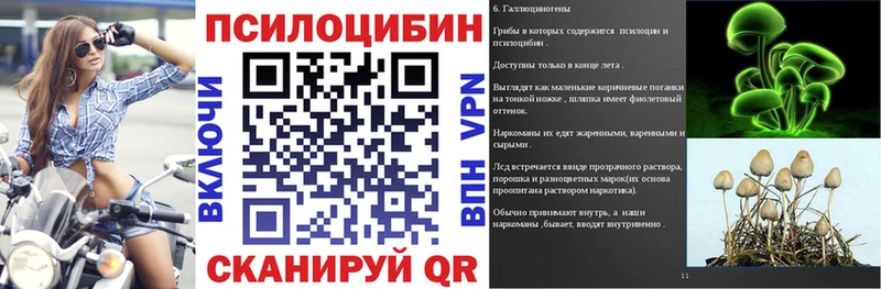 Псилоцибиновые грибы Psilocybe  shop как зайти  Себеж 